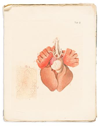 Bleuland, Jan (1756-1838) Icones Anatomico-Physiologicae.